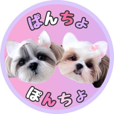 pan_pon_cho's profile picture