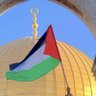 (صالح الحامد969+) ✌🏼غـــــ𓂆ـــــــزة 🇵🇸 的头像