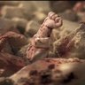 #FreePalestine🇵🇸💗🇵🇸's profile picture