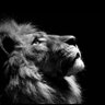 abdulaziz's profile picture