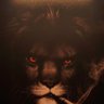 lion profil fotoğrafı