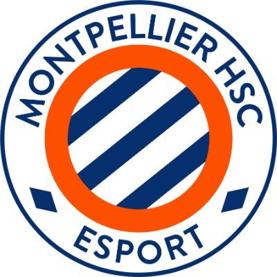 MHSCEsport's profile picture
