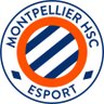 MHSC Esport 的头像