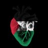 Profilbild von Mohammad Algharably
