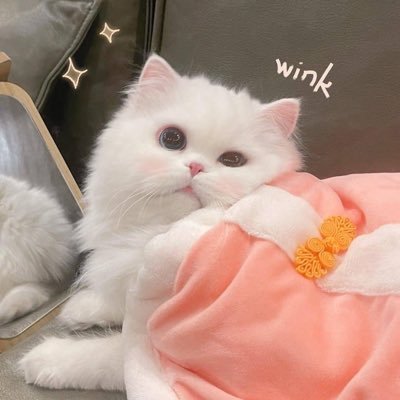 ❄️ICE'HRZT❄️'s profile picture