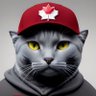 The Sarcasticat profil fotoğrafı
