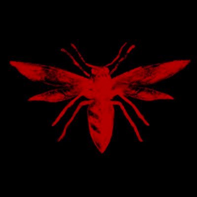 thisishivemind's profile picture