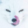 T.A.O.E.M's profile picture