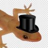 CUTOFOLO profil fotoğrafı
