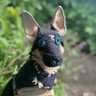 Profilbild von Banjo