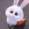 Фото профиля AngryRabbit