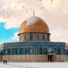 Фото профиля Özlem Altundağ