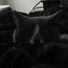 Profilbild von Jilly Willy