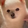 まろたん's profile picture