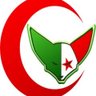 mamoudi 的头像