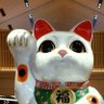 みやぽん 的头像
