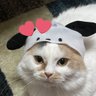 まりちゃん's profile picture