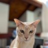 nusi's profile picture