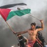 Profilbild von Yazan 🇵🇸