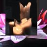 Twocents's profile picture