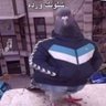 Profilbild von mohammad