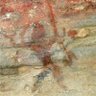 Polymathic profil fotoğrafı