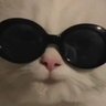 Clozure_'s profile picture