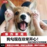 懂事 的头像