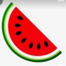 🇵🇸🍉 Ganeen 🍉🇵🇸's profile picture