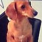 Profilbild von 大塚綾子