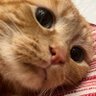 meow ❤️'s profile picture