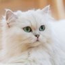 Фото профиля Freaky Updates