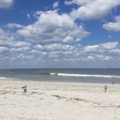 sub4dick's profile picture