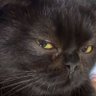 Ann's profile picture