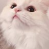 Profilbild von myu