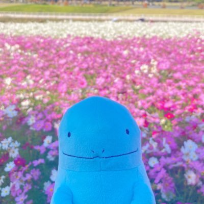 櫛音ネノ's profile picture