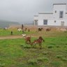 Zyad Abbas profil fotoğrafı