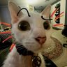 hunter profil fotoğrafı