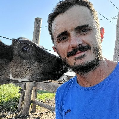 José Jáuregui 🐄🍀's profile picture