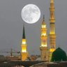 سلطان الجهني's profile picture