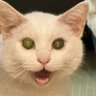 Barry's profile picture