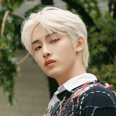 샤찌's profile picture