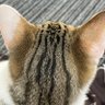 Фото профиля たきさまきさまさま