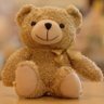 きのこのこ's profile picture