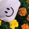 Фото профиля Miffy