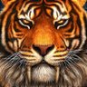 Фото профиля Tiger ❤️ DQ