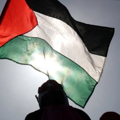 SidKiDuniyaa's profile picture