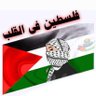miar yossef's profile picture