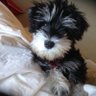 meca mary's profile picture