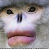 Choice Architecture Sci-Op's profile picture